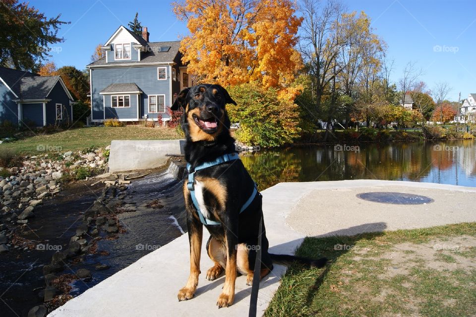 Jake loves autumn! 