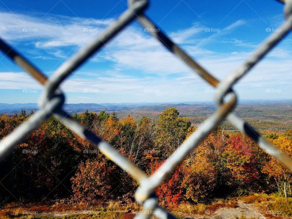 Through the Fence