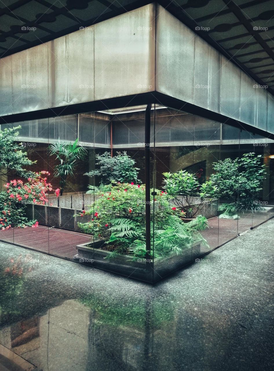 Piece of green inside the building