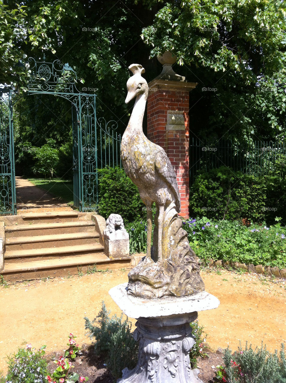 garden statue peacock essex by millwallben