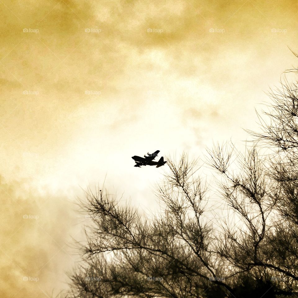 Aeroplane flying in sky sihllouetted against bright clouds with tree branches in foreground