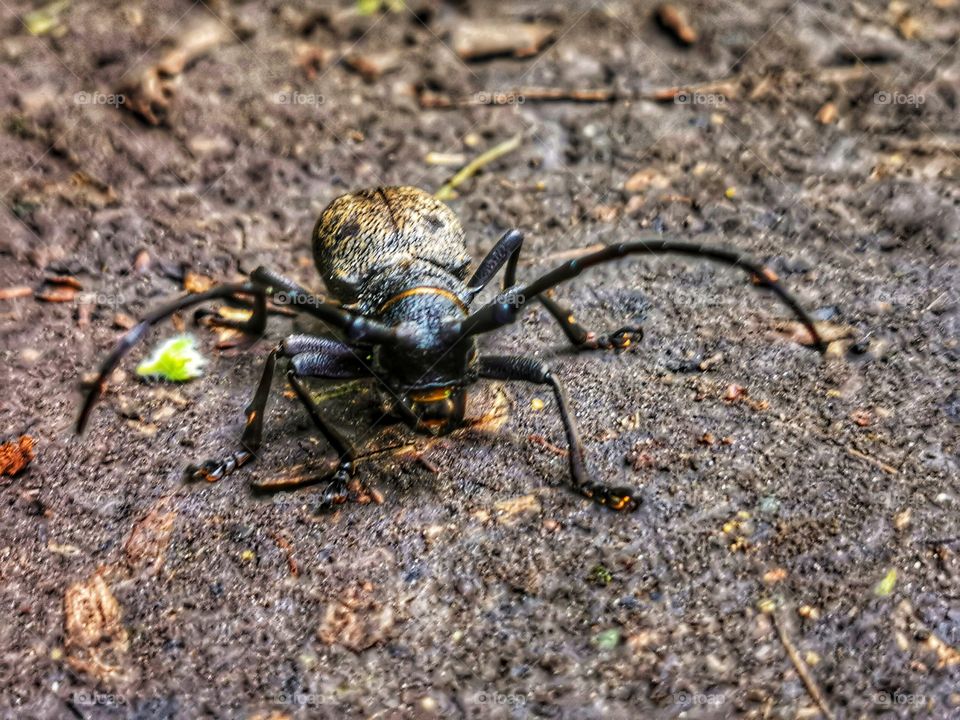 Forest day outdoor nature greens wild forest greens sky clouds moody