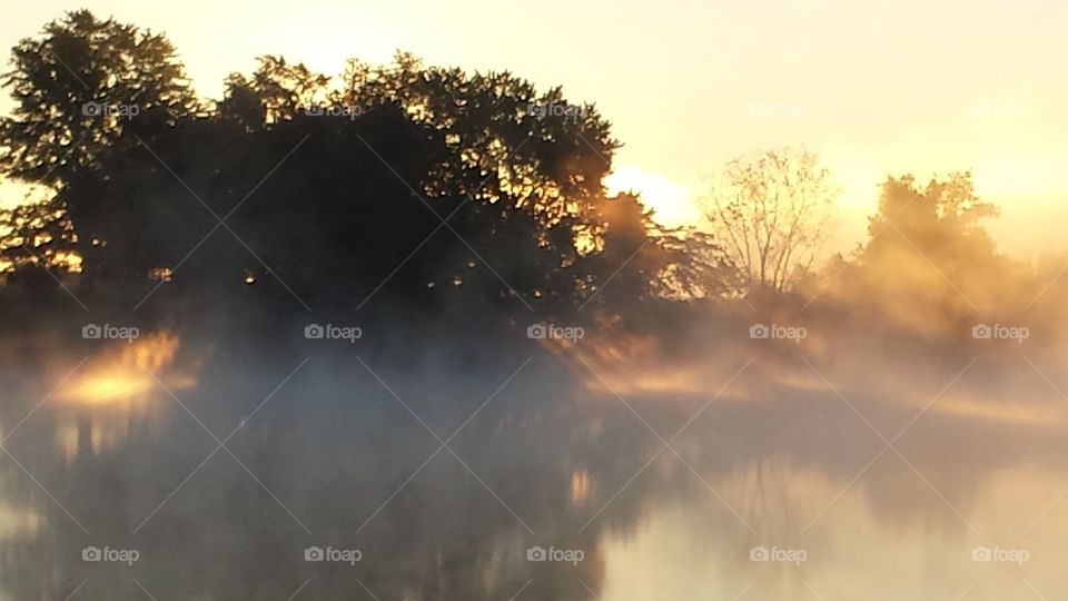 Foggy morning