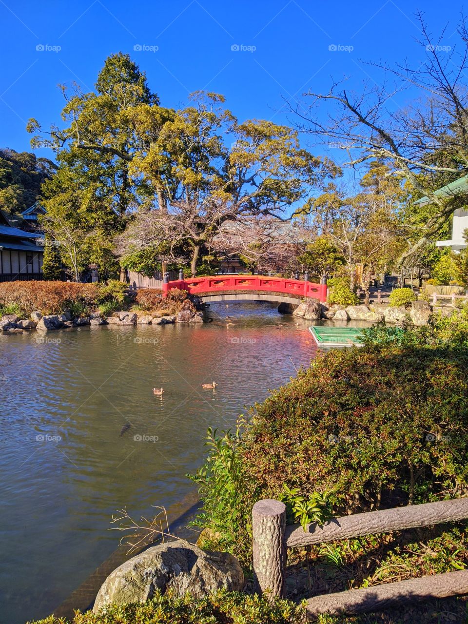 Japanese-style bridge over Lake Biwa, Memphis Botanic Garden
