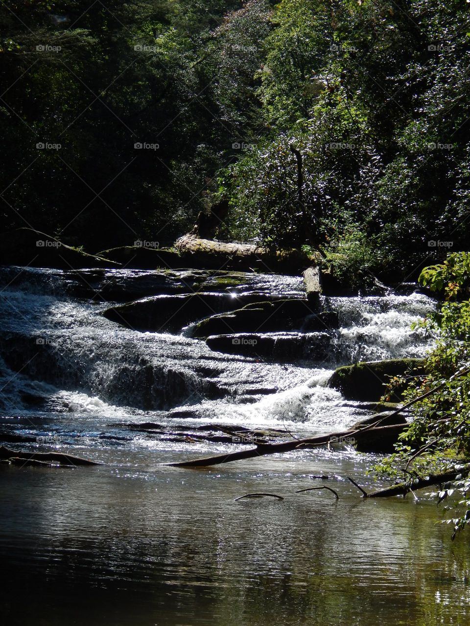 Whetstone creek waterfall in South Carolina