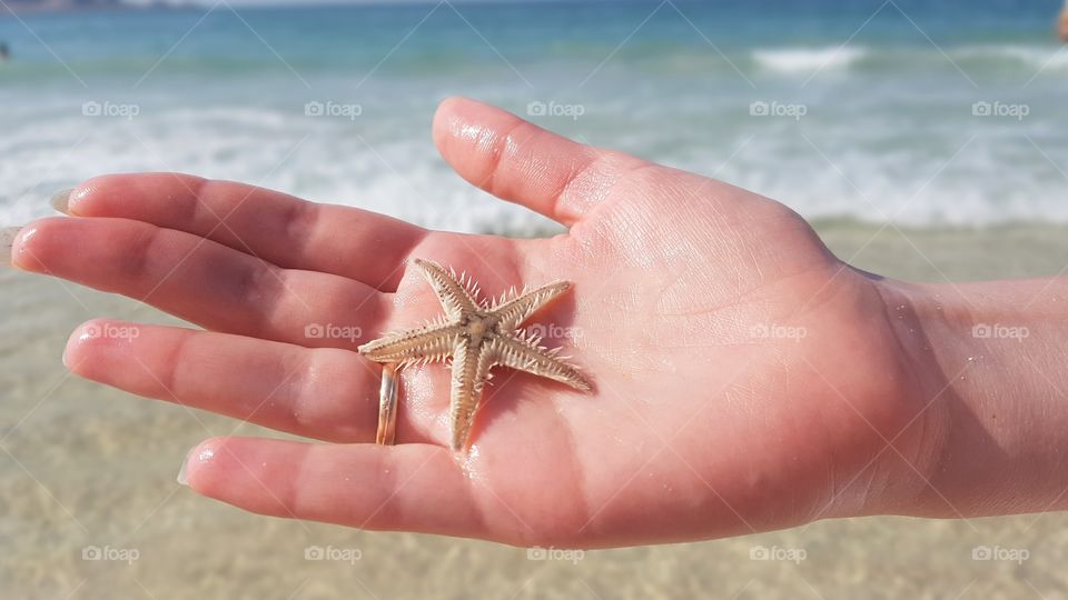 Beach, Sand, Starfish, Sea, Seashore