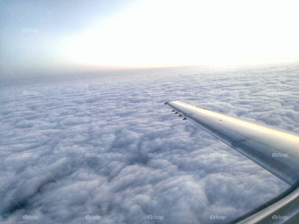 Head in the Clouds . Traveling from Michigan to Florida at 6am