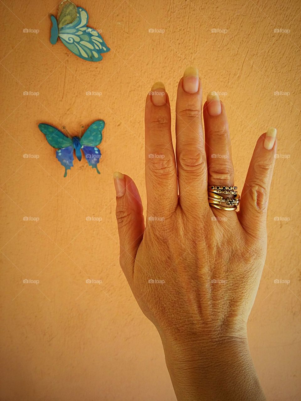 hand and butterflies