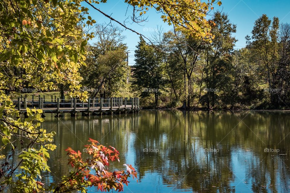 Fall pond