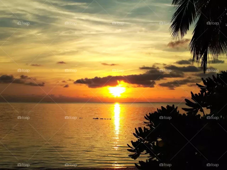 Maldives