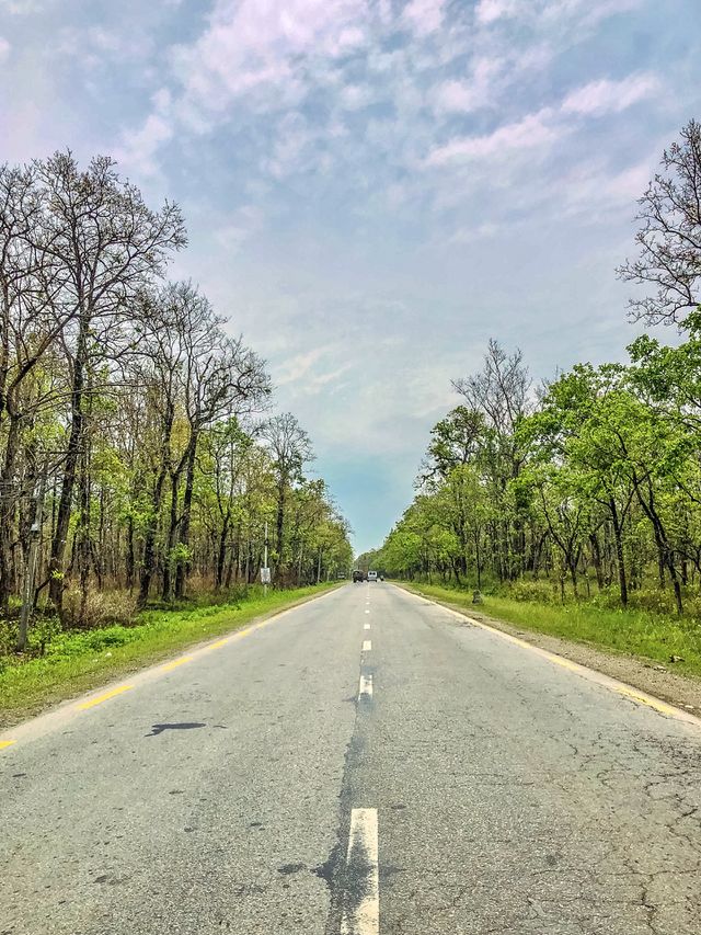 Beautiful silent road in Nepal 🇳🇵