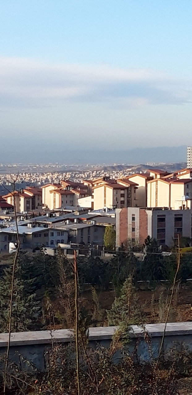 city