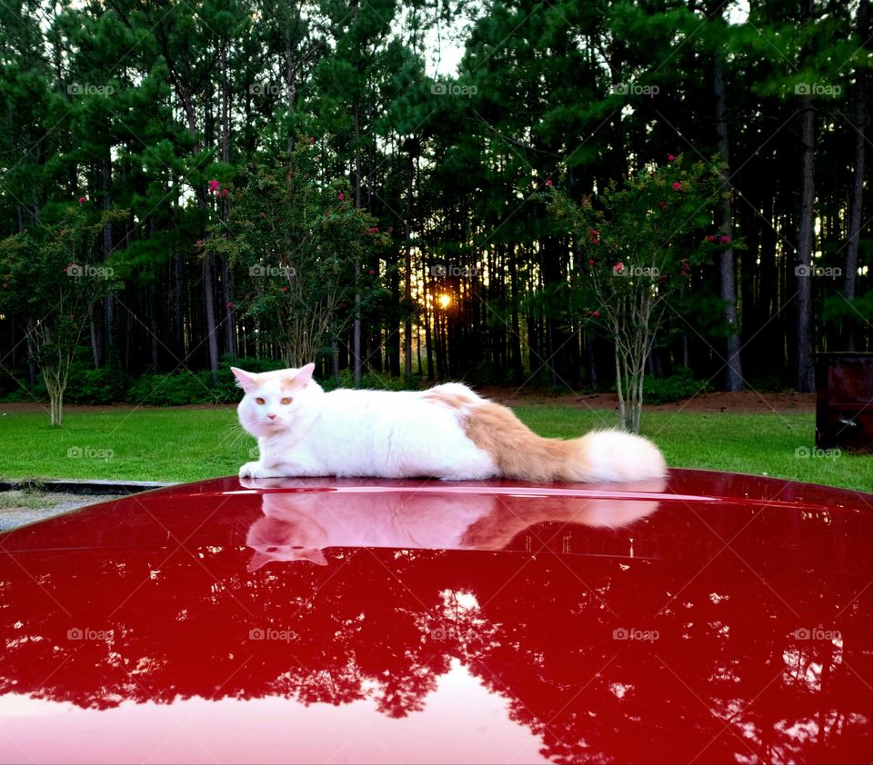 Gabriel & Sunset Reflections