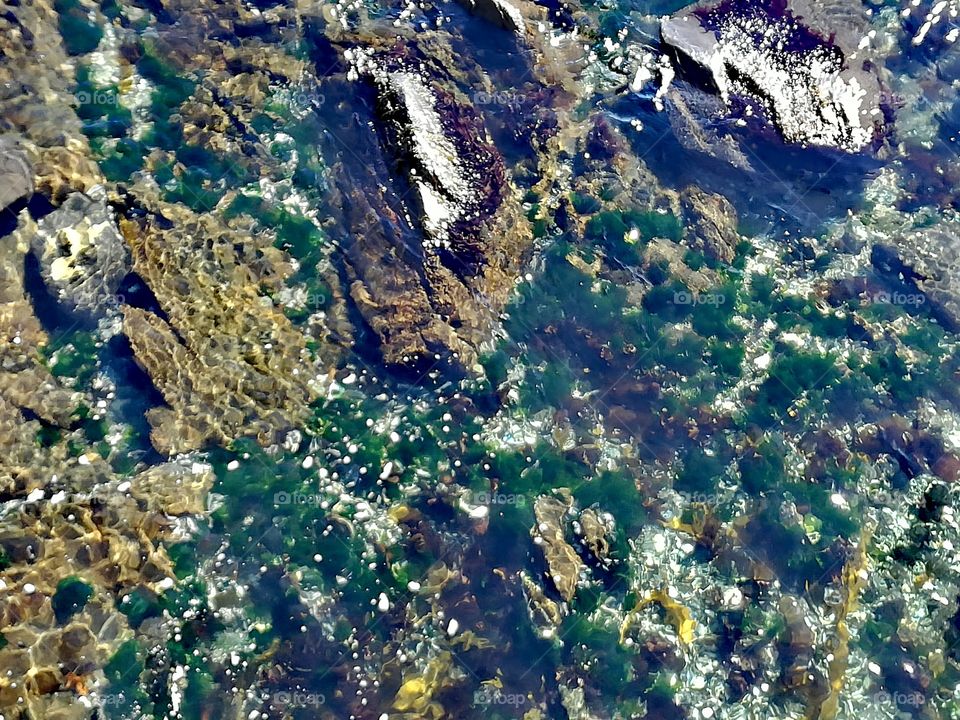 scenic underwater rocks