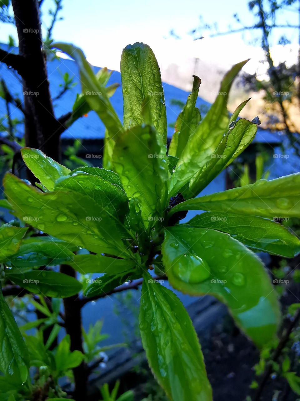 Up close to the nature