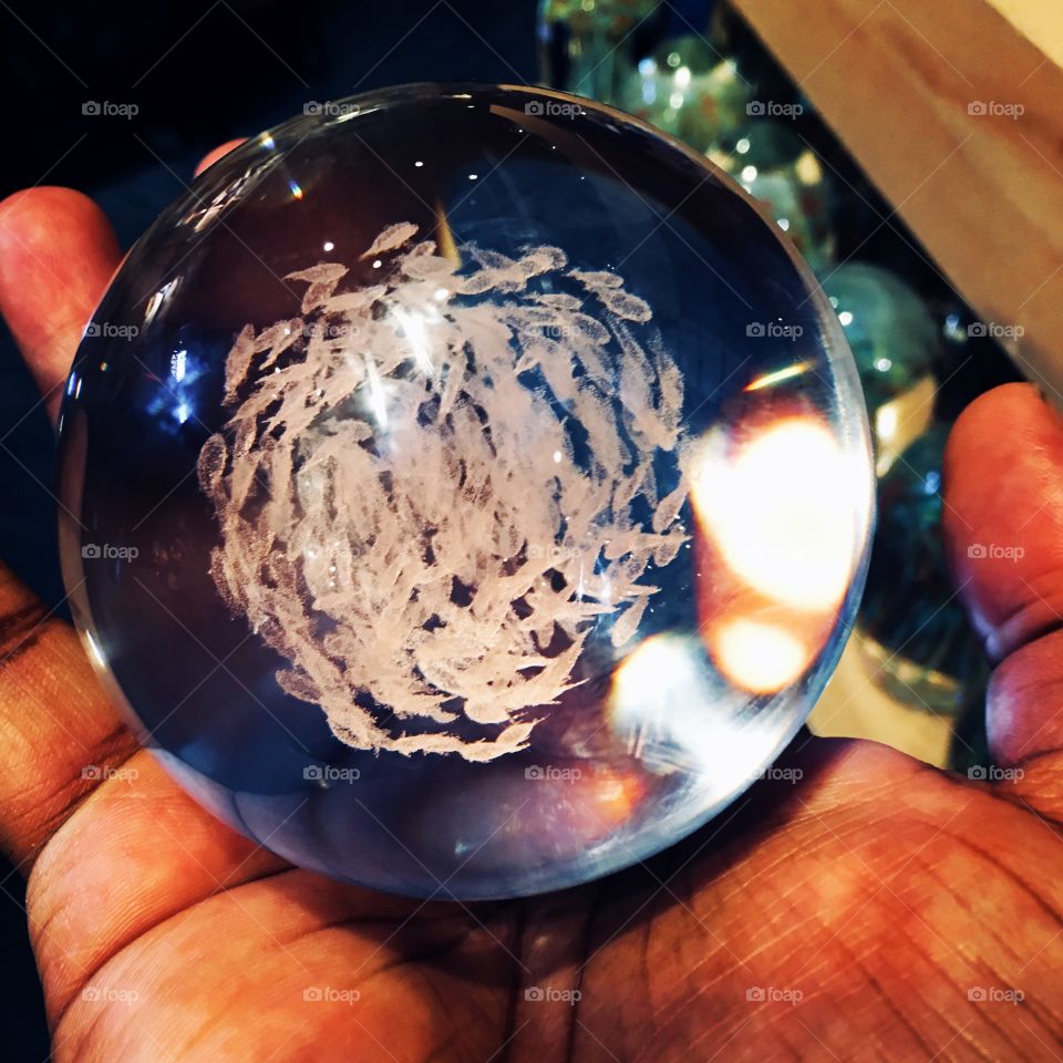 School of fish in a crystal ball 