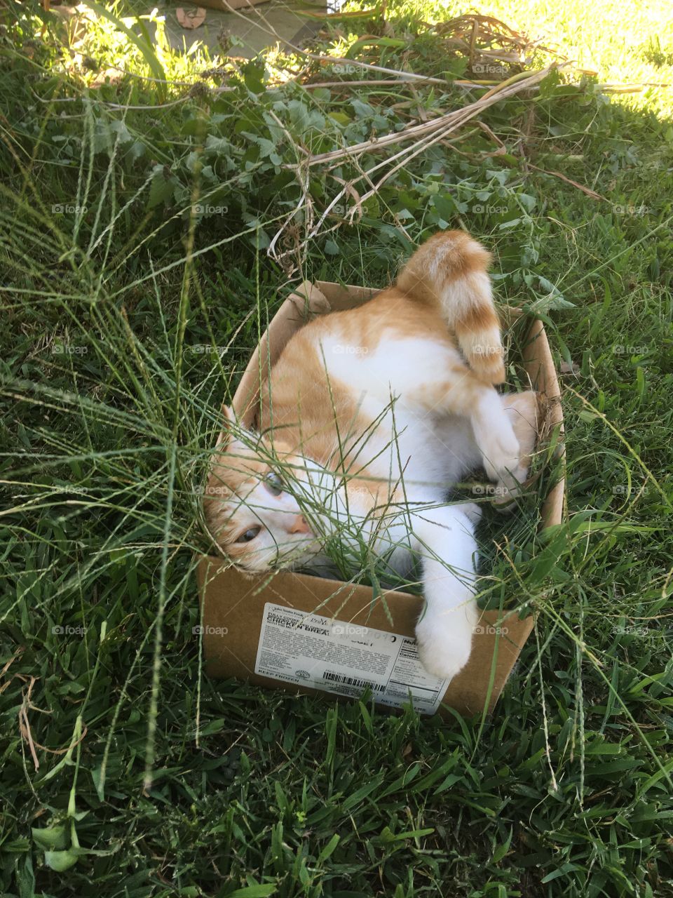 Looking for the positive and counting my blessings today, trying to focus on the good.