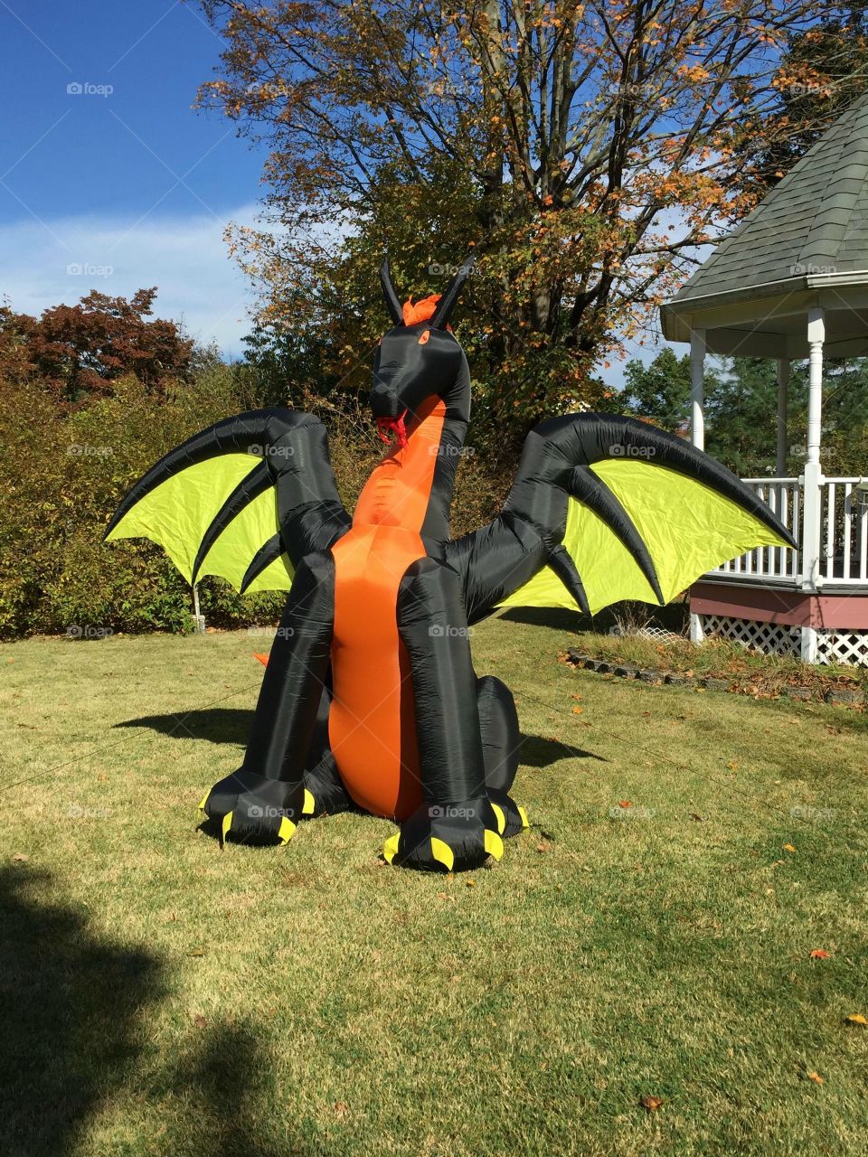 Maynard, The Protector