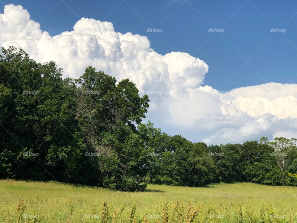 Clouds patterning tree line