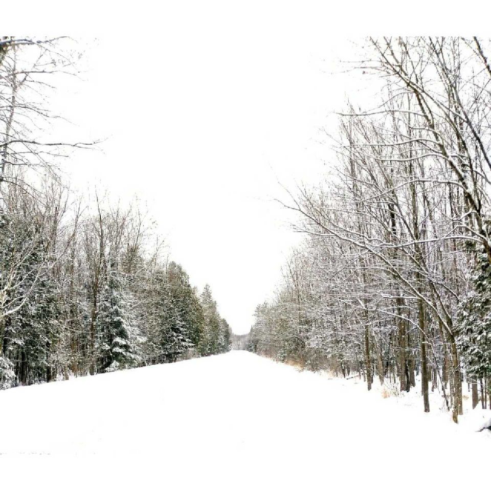 A Winter Drive