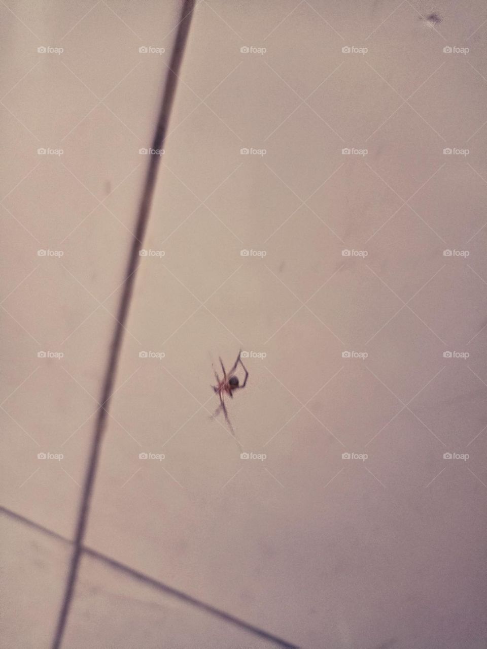 climbing like spiderman