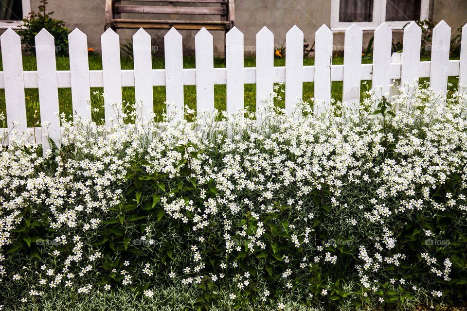 View of white picket fence and flower garden