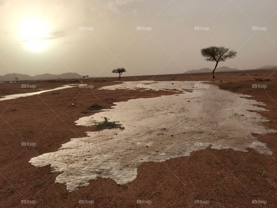 Nice to see what you want.