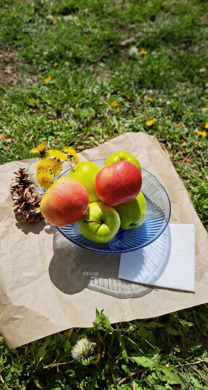 picnic in nature