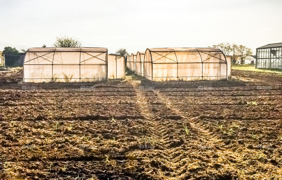 Greenhouses On The Field
