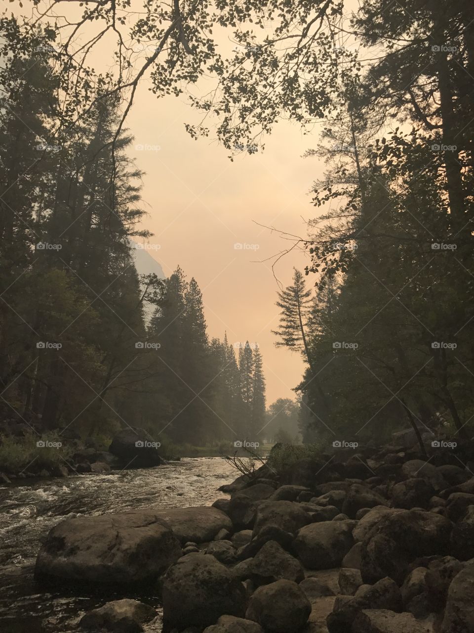 Smokey morning in Yosemite 