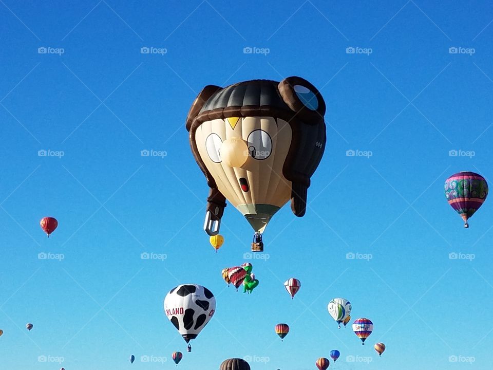 Balloon, Sky, Hot Air Balloon, Air, Flying