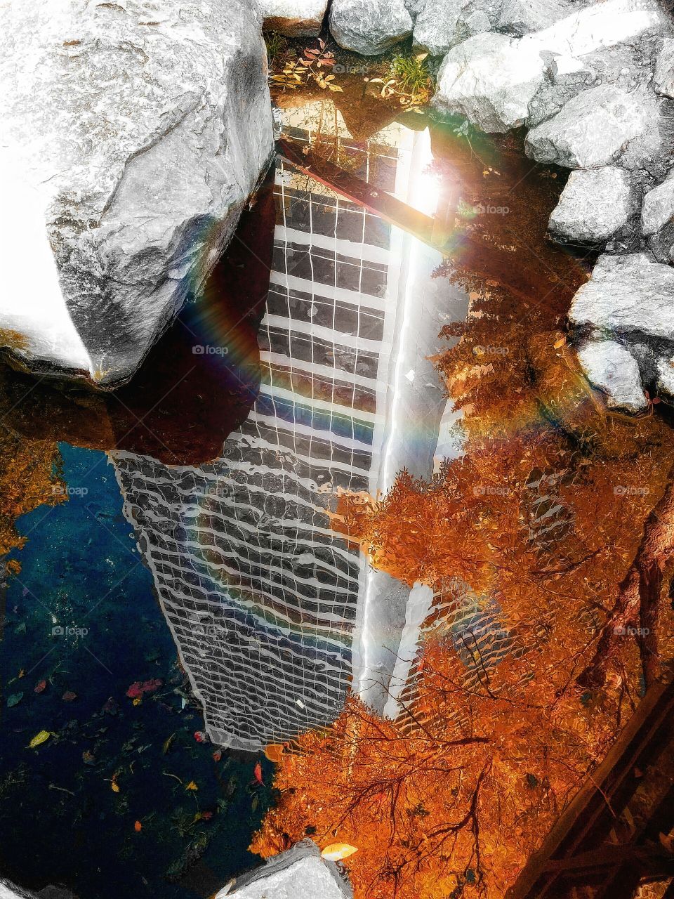 Looking up by looking down. Nexen building downtown Calgary  reflection in water