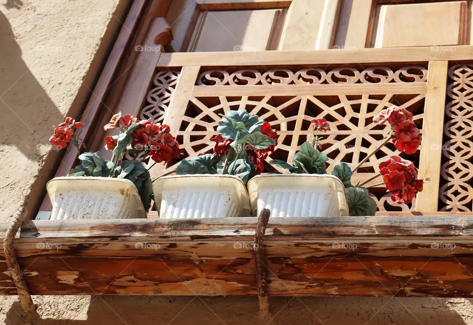window