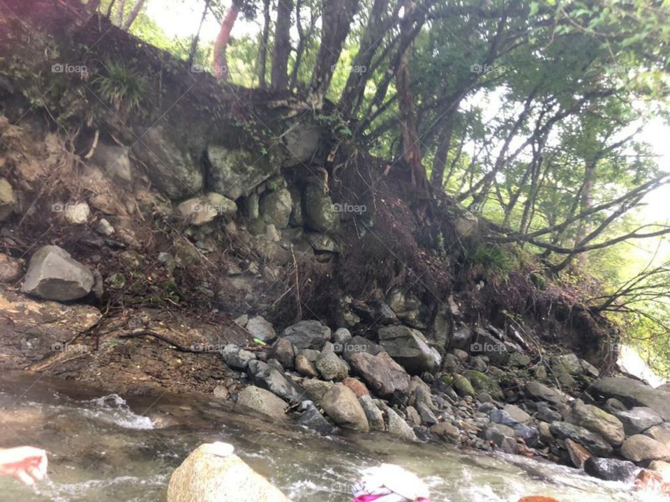 beautiful view of riverside beauty