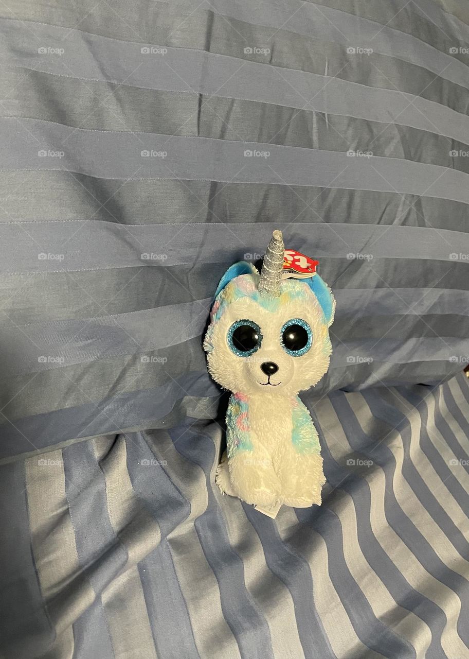 Sometimes when my grand daughter stays over she leaves a teddy bear (unicorn TY bear this night) in my bed… I think she thinks I am lonely