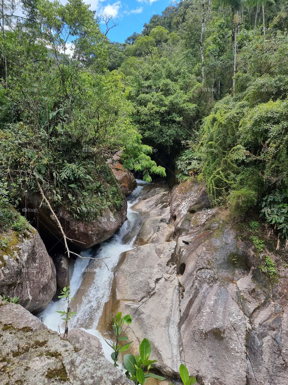 Parque Nacional de Itatiaia