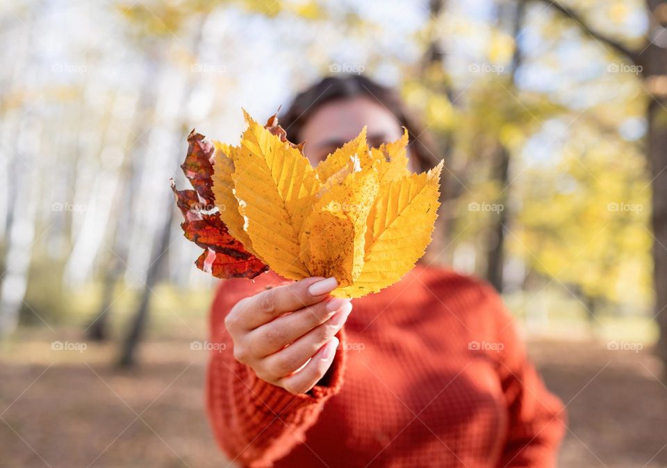 autumn vibes