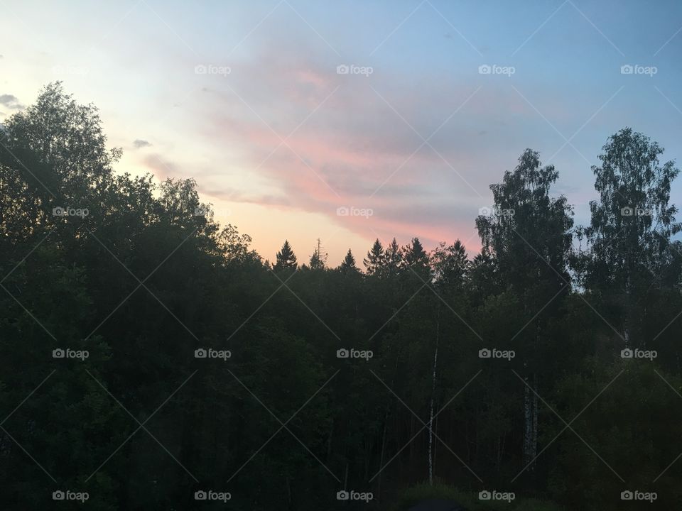Sunset with pink clouds and dark forest