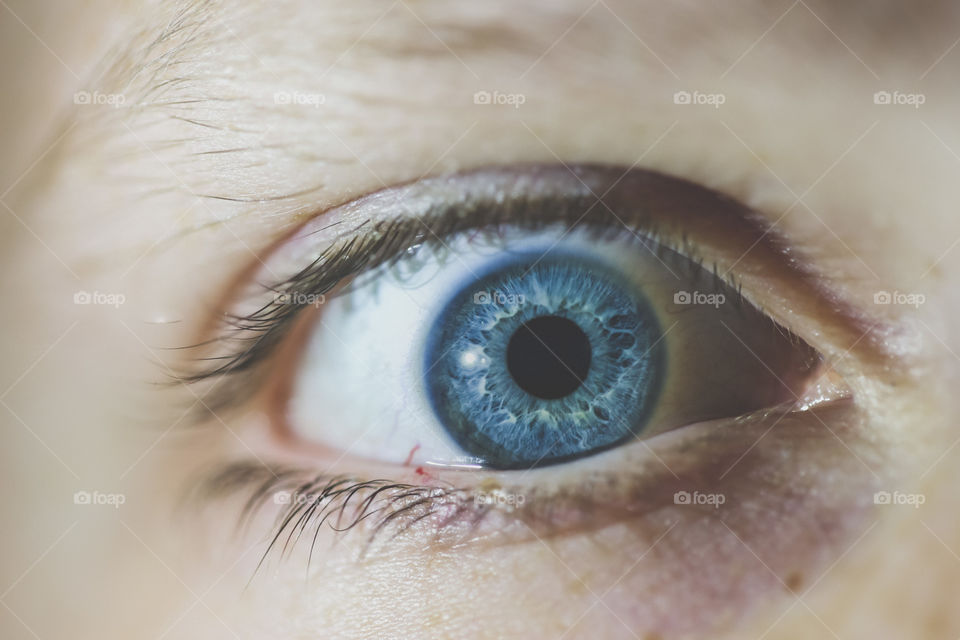 Beautiful and detailed close-up of a deep blue eye