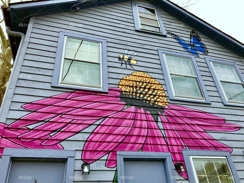 Painted Flower on House
