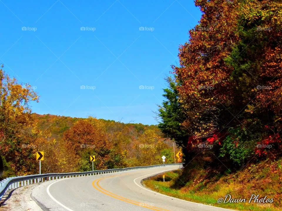 Fall Corner