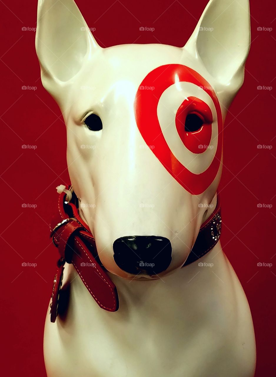 Target Red Dog