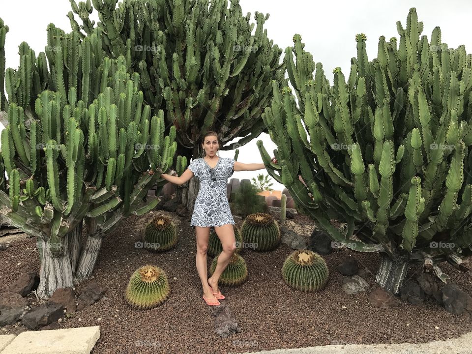 Cacti garden 