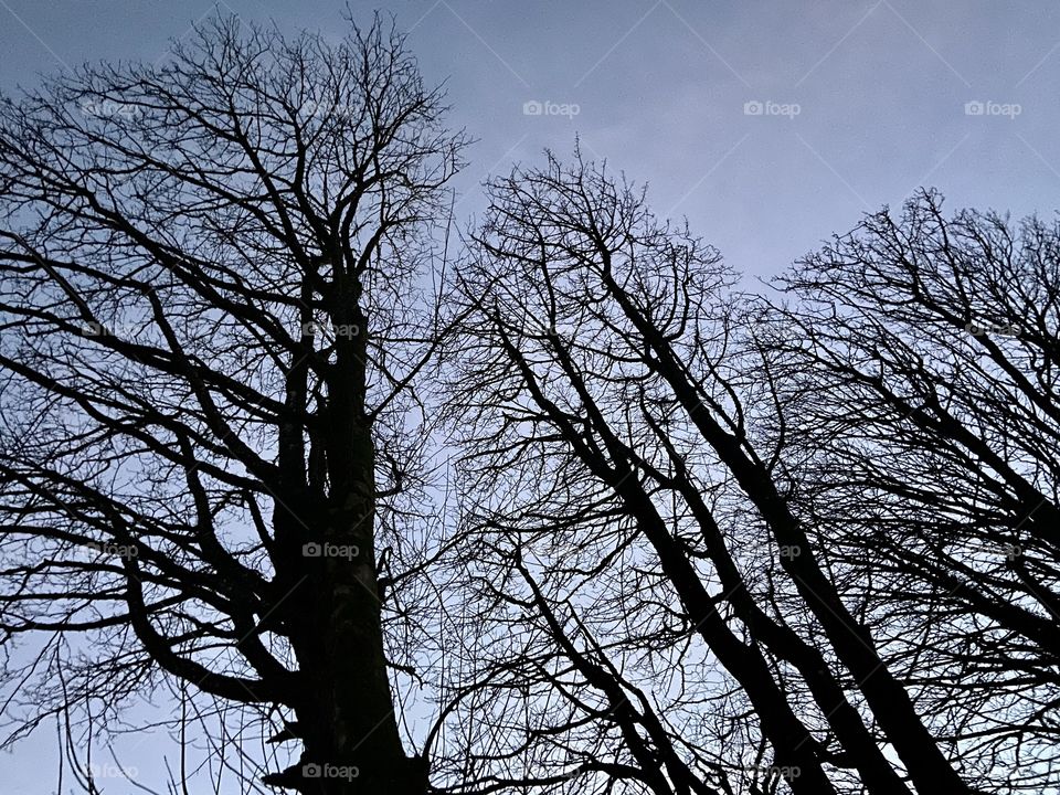 🏴󠁧󠁢󠁳󠁣󠁴󠁿