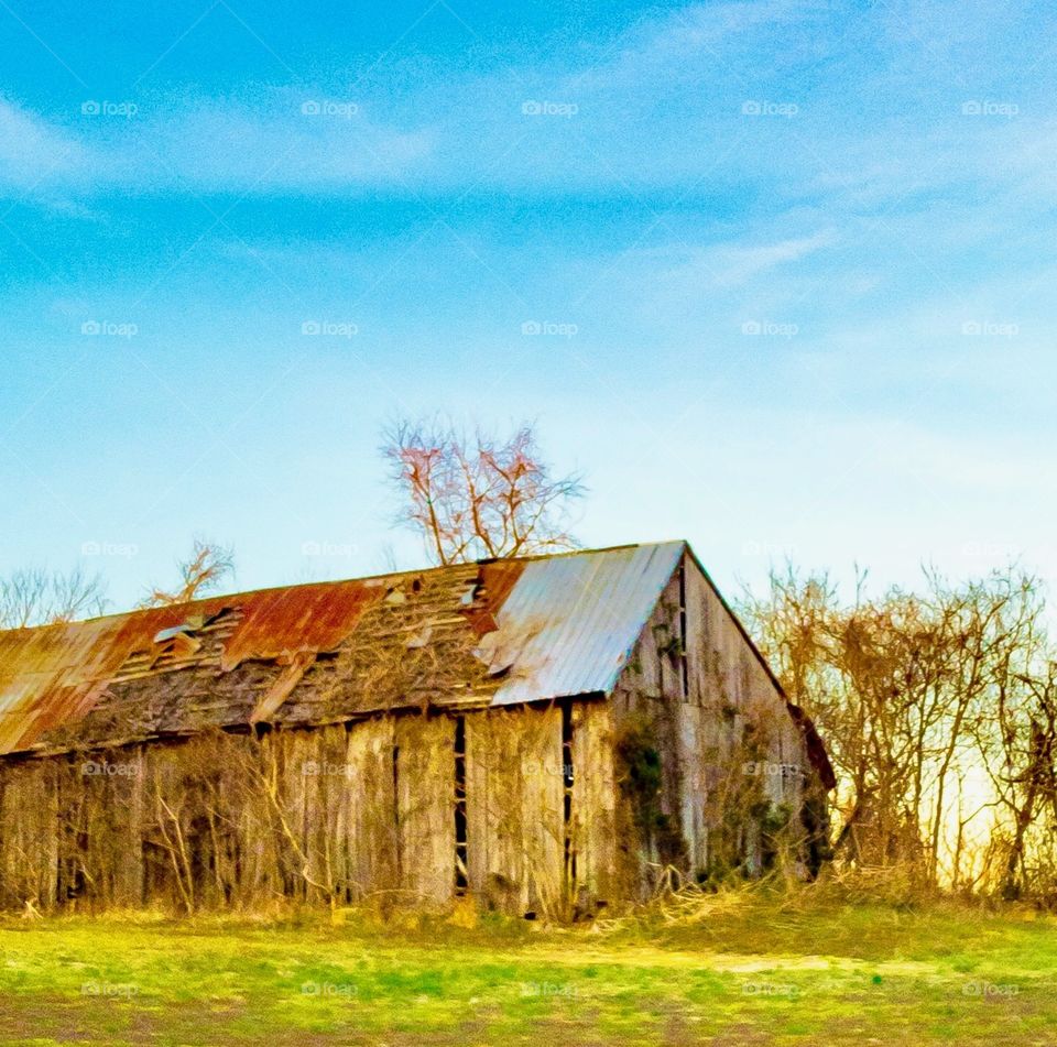 Old barn