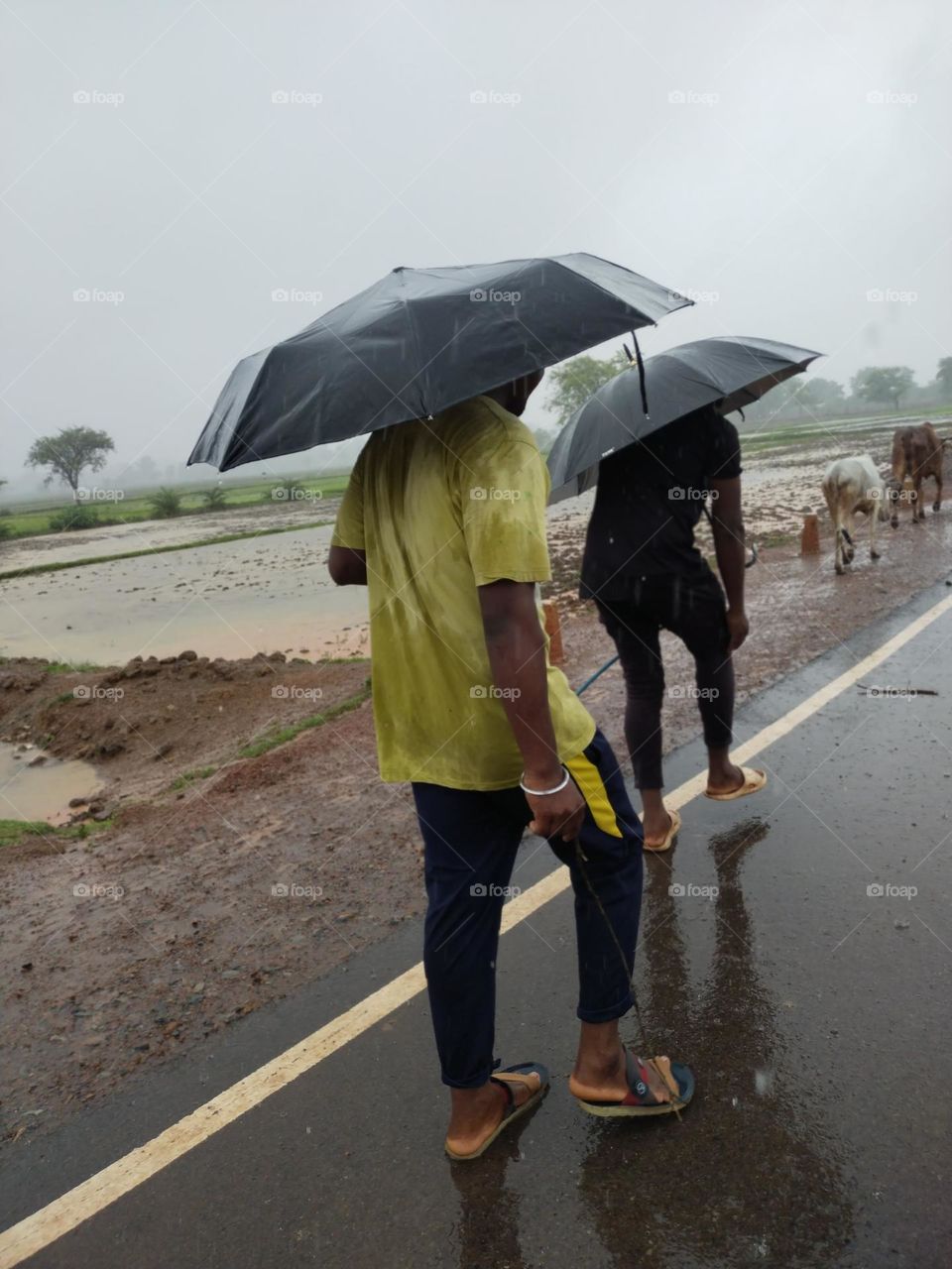 two brothers feel rain ☔🌧️