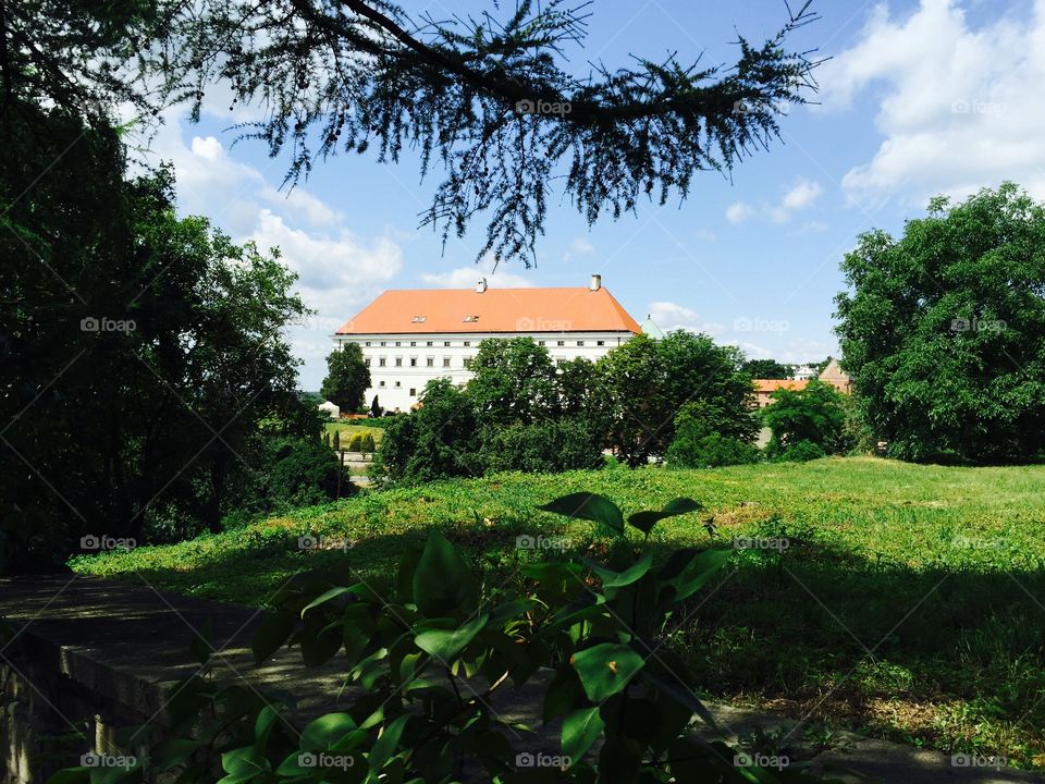 No Person, Tree, House, Garden, Home