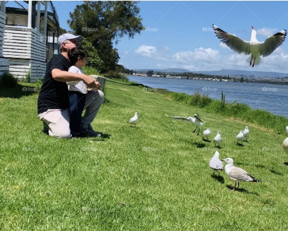 My child loves watching birds, for him they are beautiful. One of the thing he does is chasing them as for him it’s fun.
