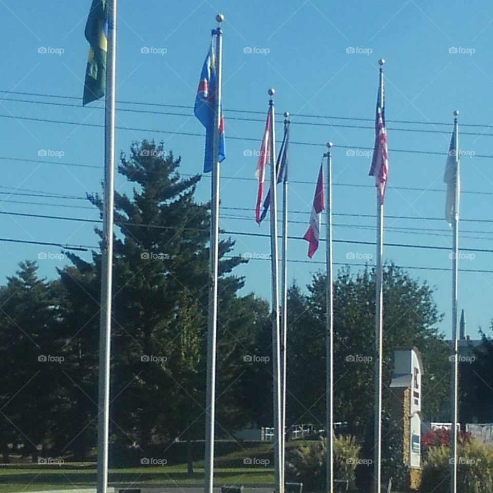 Flags (Various)