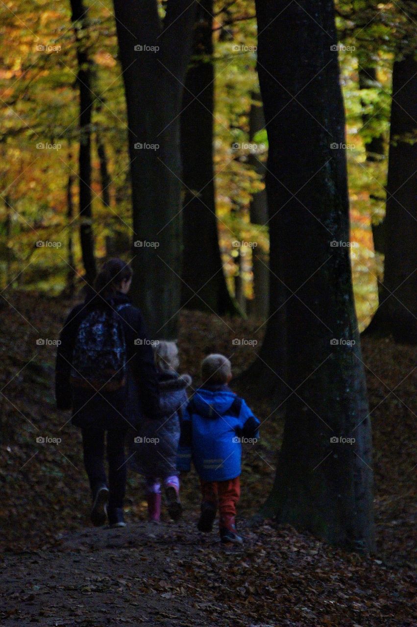 Playing in the Woods 
